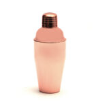 RAME SHAKER INOX CL.50 4531-050