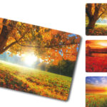 TOVAGLIETTA AMERICANA 28,5X43 NATURA 77177